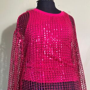 Pilcro by Anthropologie Hot Pink Sequin Netting Pullover Knit Size Medium